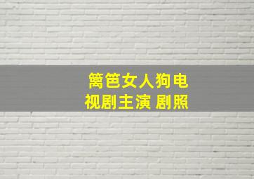 篱笆女人狗电视剧主演 剧照